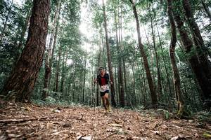 BIB: 
                            <button type="button" onclick="openModal(25261256)" class="btn btn-primary btn-sm float-right btn-popup" data-toggle="modal" data-target=".modal-high-quality">
                        <i class="fas fa-shopping-cart"></i> Add to Cart
                    </button>
                                            <button type="button" onclick="isThisMe(25261256, true)" class="btn btn-success btn-sm float-right btn-popup btn-isme hidden" data-toggle="tooltip" data-placement="bottom" title="นี่คือรูปของคุณใช่ไหม คลิกที่นี่เพื่อเอาเข้าอัลบั้ม">
                        <i class="fas fa-plus"></i> Add to album
                    </button>
                    <button type="button" onclick="isThisMe(25261256, false)" class="btn btn-warning btn-sm float-right btn-popup btn-isnotme hidden">
                        <i class="fas fa-ban"></i> Remove from album
                    </button>